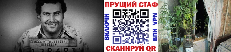 Купить наркоту Барнаул Канабис  Кокаин  Гашиш  СК  Меф мяу мяу 
