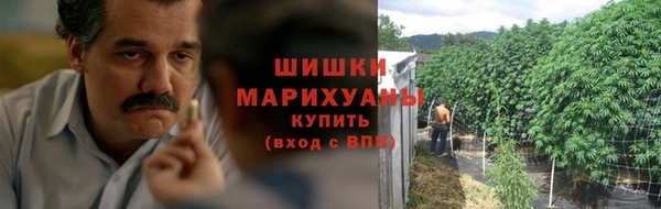 стафф Приозерск