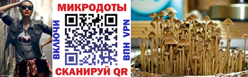 Галлюциногенные грибы Psilocybine cubensis  где купить наркотик  Барнаул 