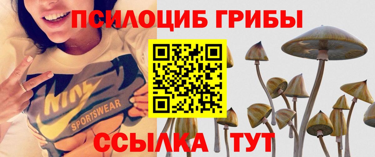 Галлюциногенные грибы MAGIC MUSHROOMS Барнаул
