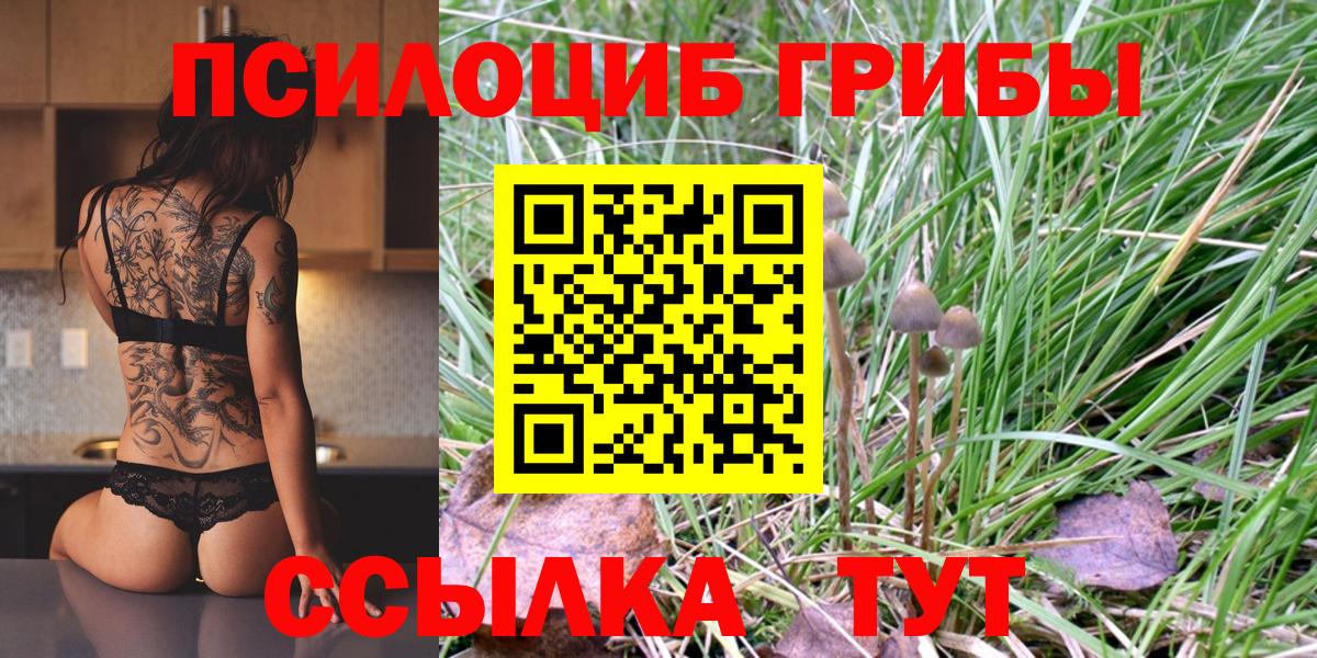 Псилоцибиновые грибы Psilocybine cubensis  Вход с VPN  Барнаул 